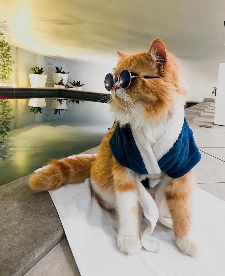 ホテル マリマール ザ プレイス Balneário Camboriú エクステリア 写真